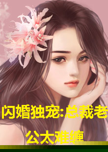 闪婚独宠，总裁老公太难缠(全集)
