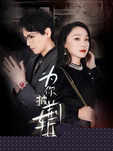 为你披荆斩棘(全集)