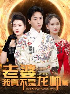 老婆我真不是龙帅啊全集 (下)(大结局)